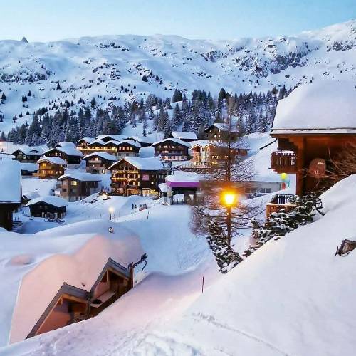 نوشین غیور آینه